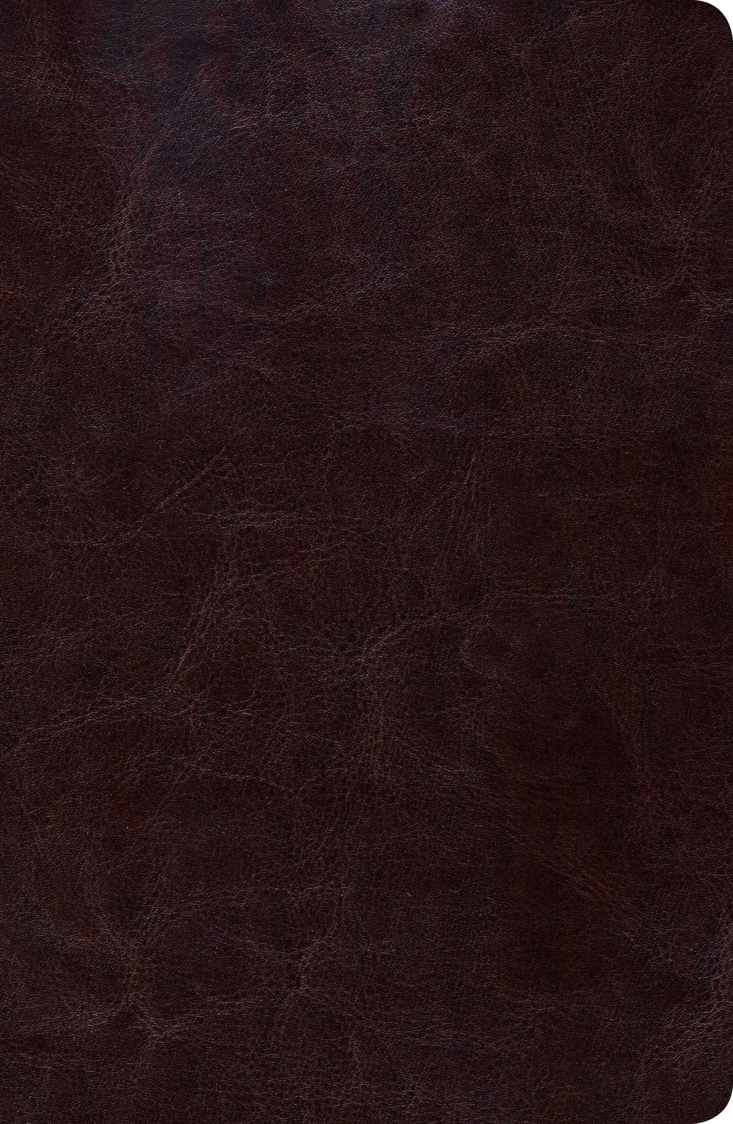 Biblia de Estudio SCOFIELD Reina Valera 1960 - cover