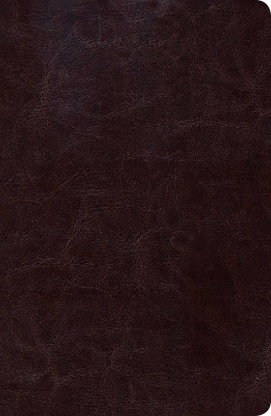 Biblia de Estudio SCOFIELD Reina Valera 1960 - cover