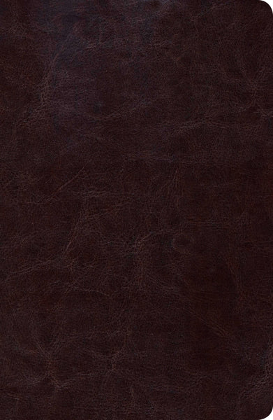 Biblia de Estudio SCOFIELD Reina Valera 1960 - cover