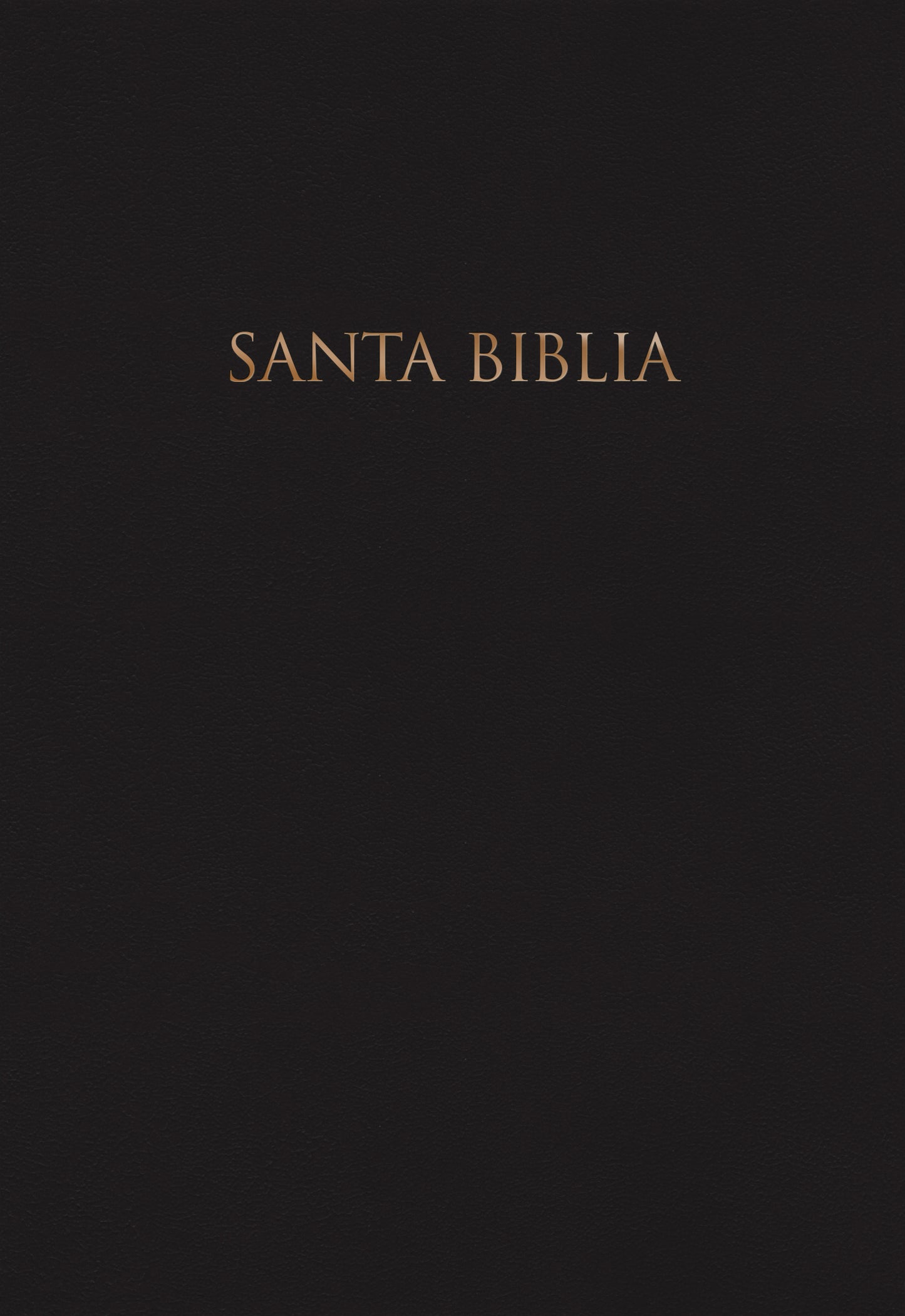 Santa biblia - cover