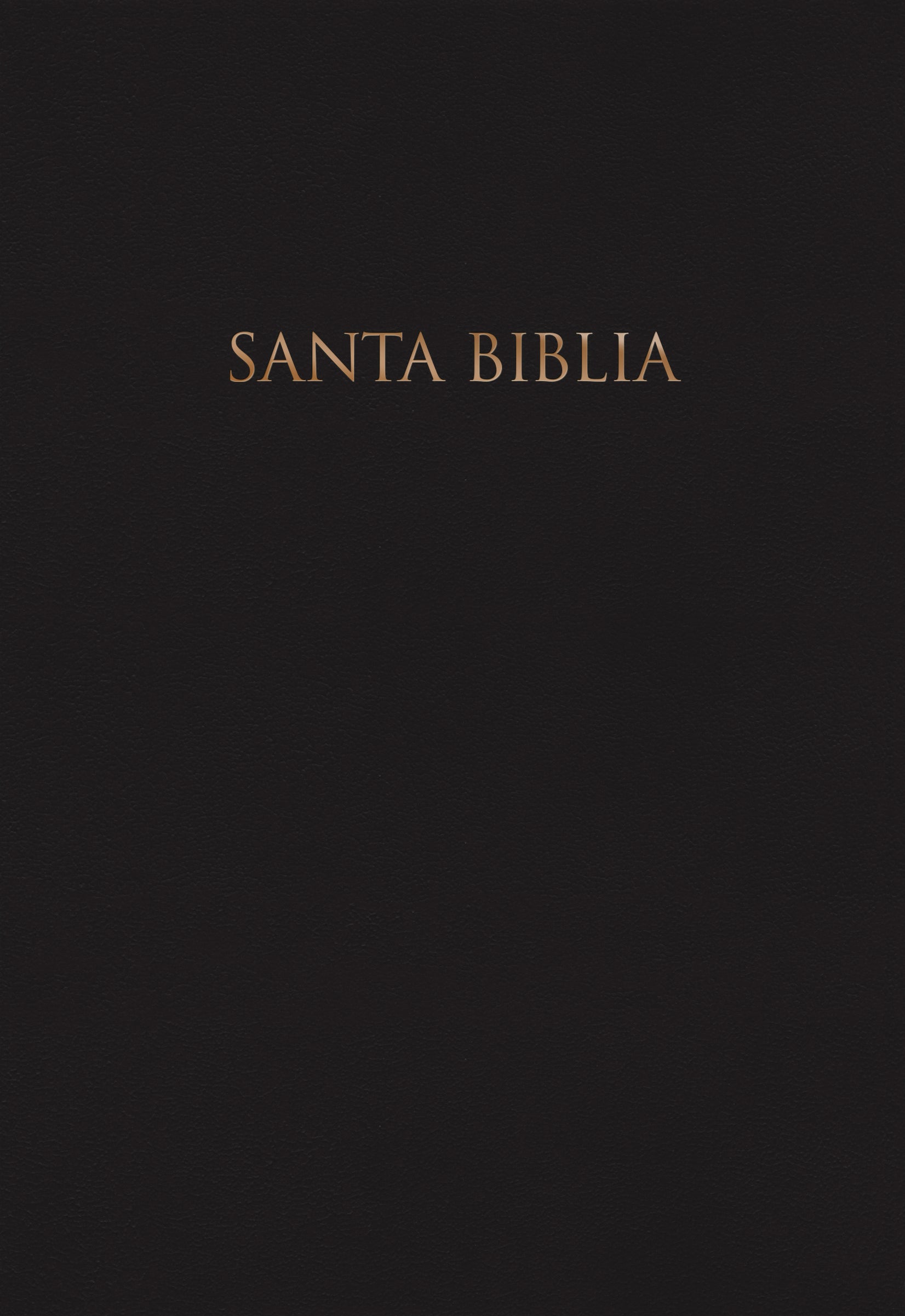 Santa biblia - cover