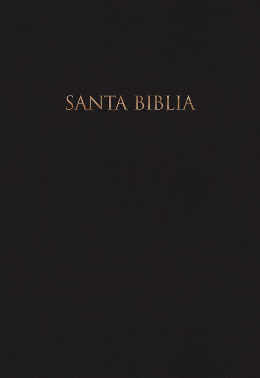 Santa biblia - cover