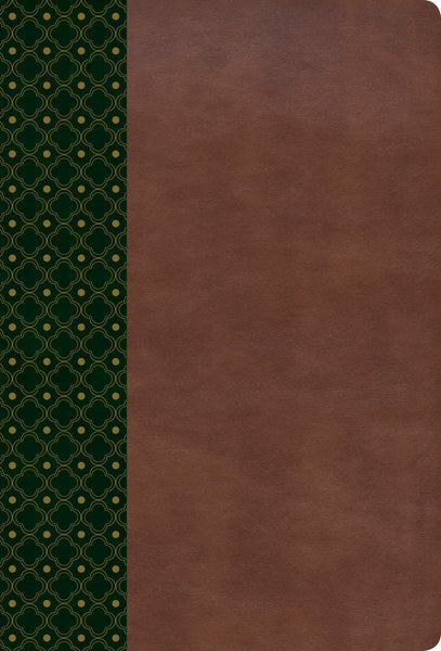 Biblia de Estudio Scofield RVR 1960 con indice - cover