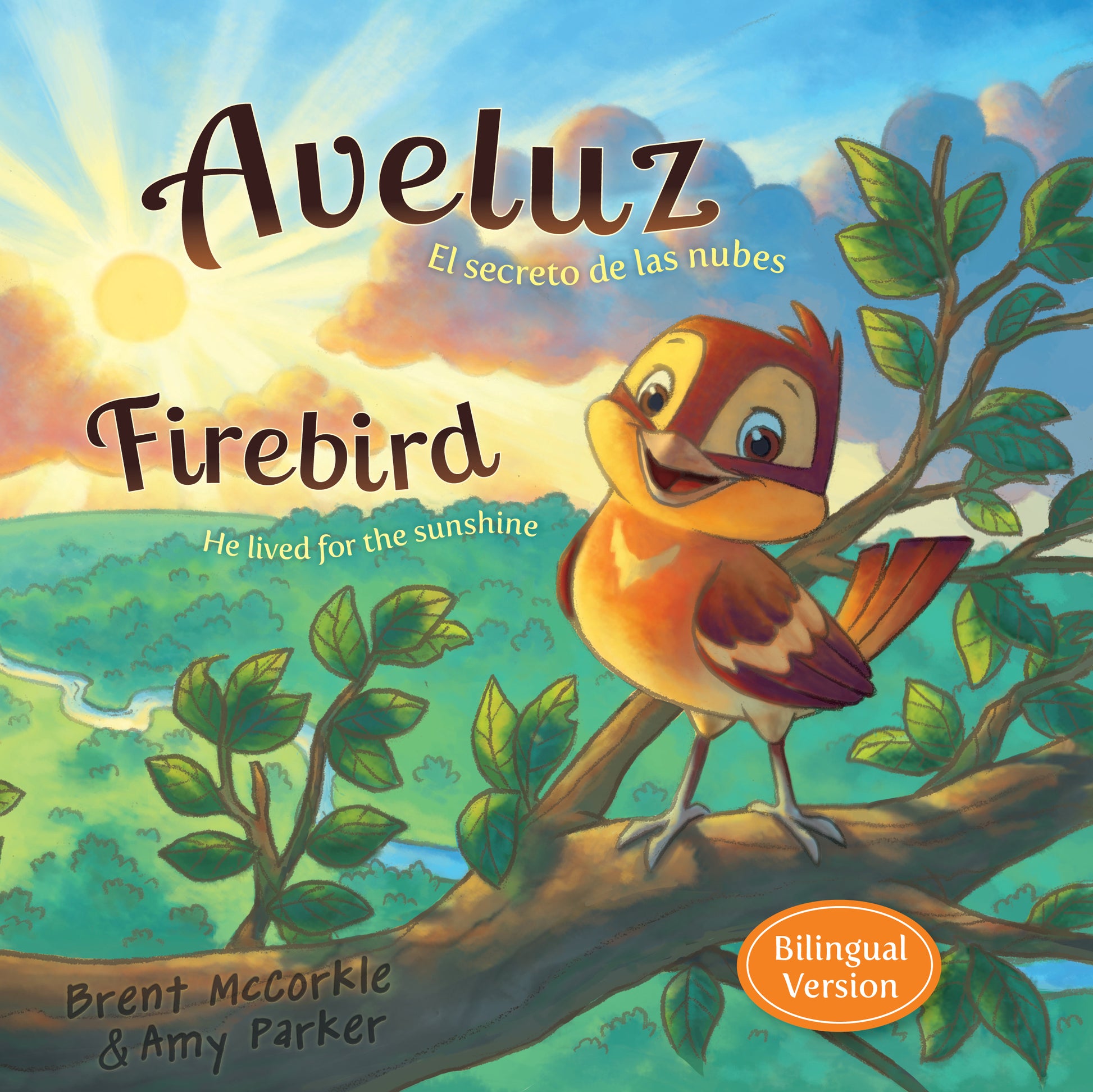 Ave luz el secreto de las nubes - cover