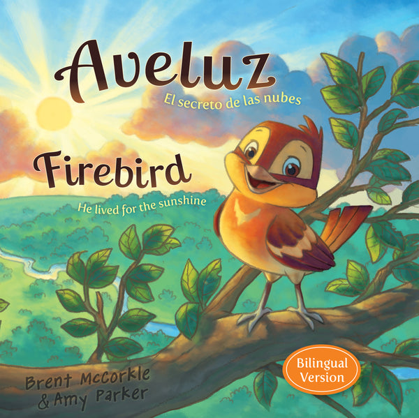 Ave luz el secreto de las nubes - cover