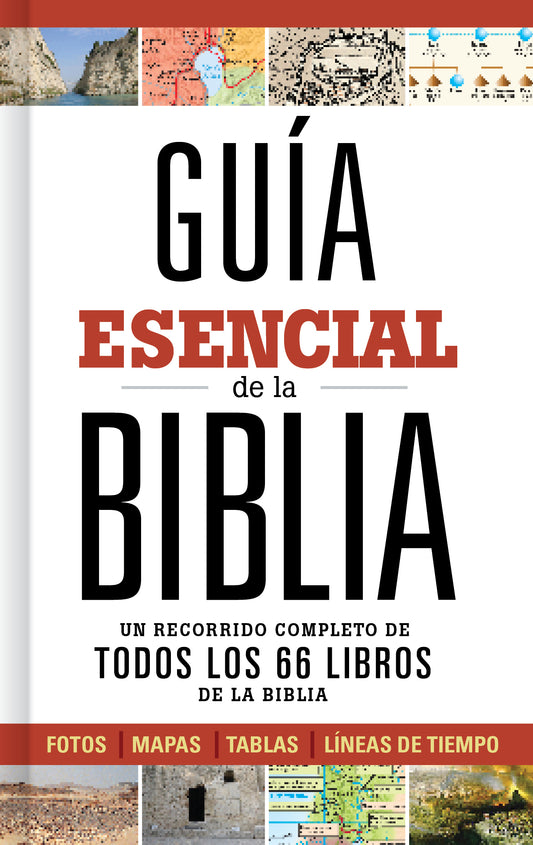 Guía esencial de la Biblia un recorrido completo de todos los 66 libros  de la biblia - cover