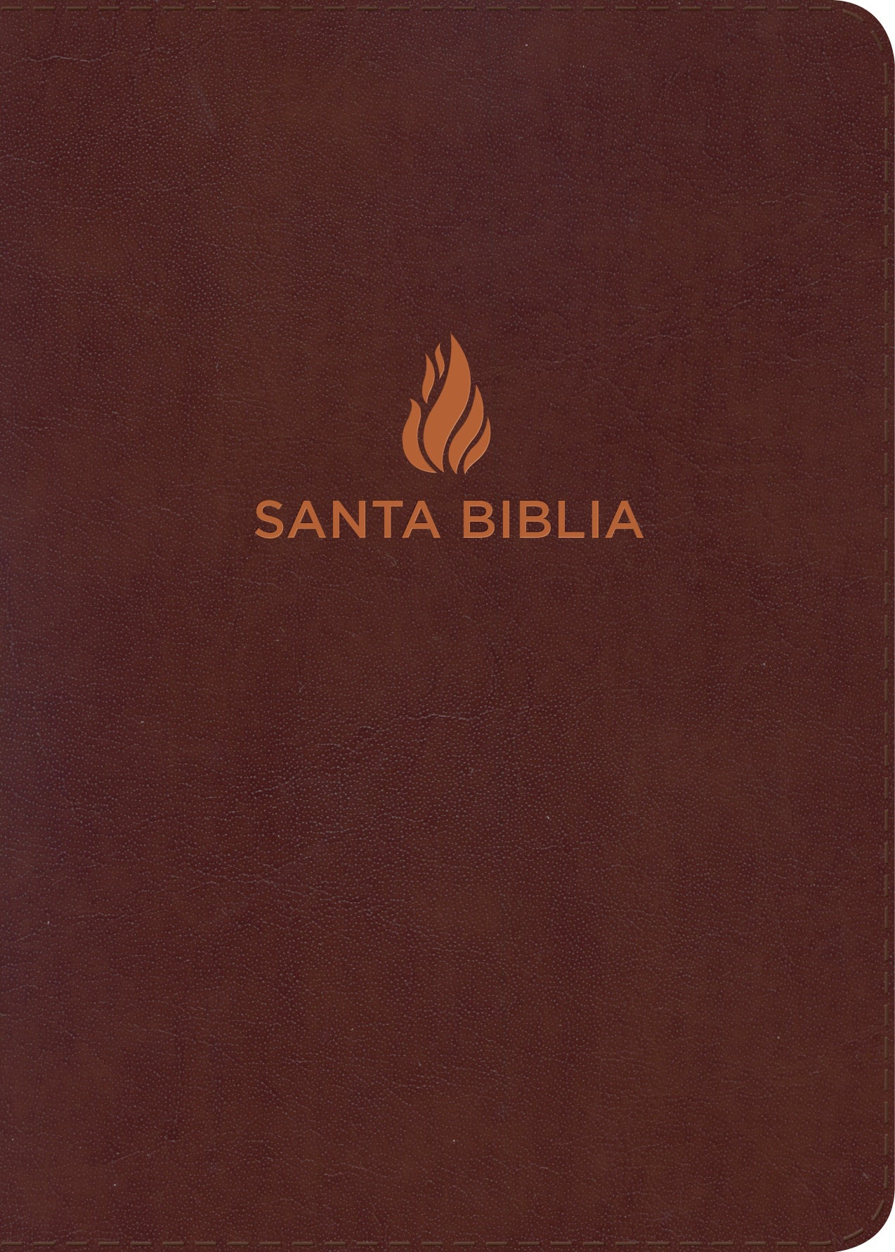 Biblia Letra Super Gigante NUEVA VERSION INTERNACIONAL - cover