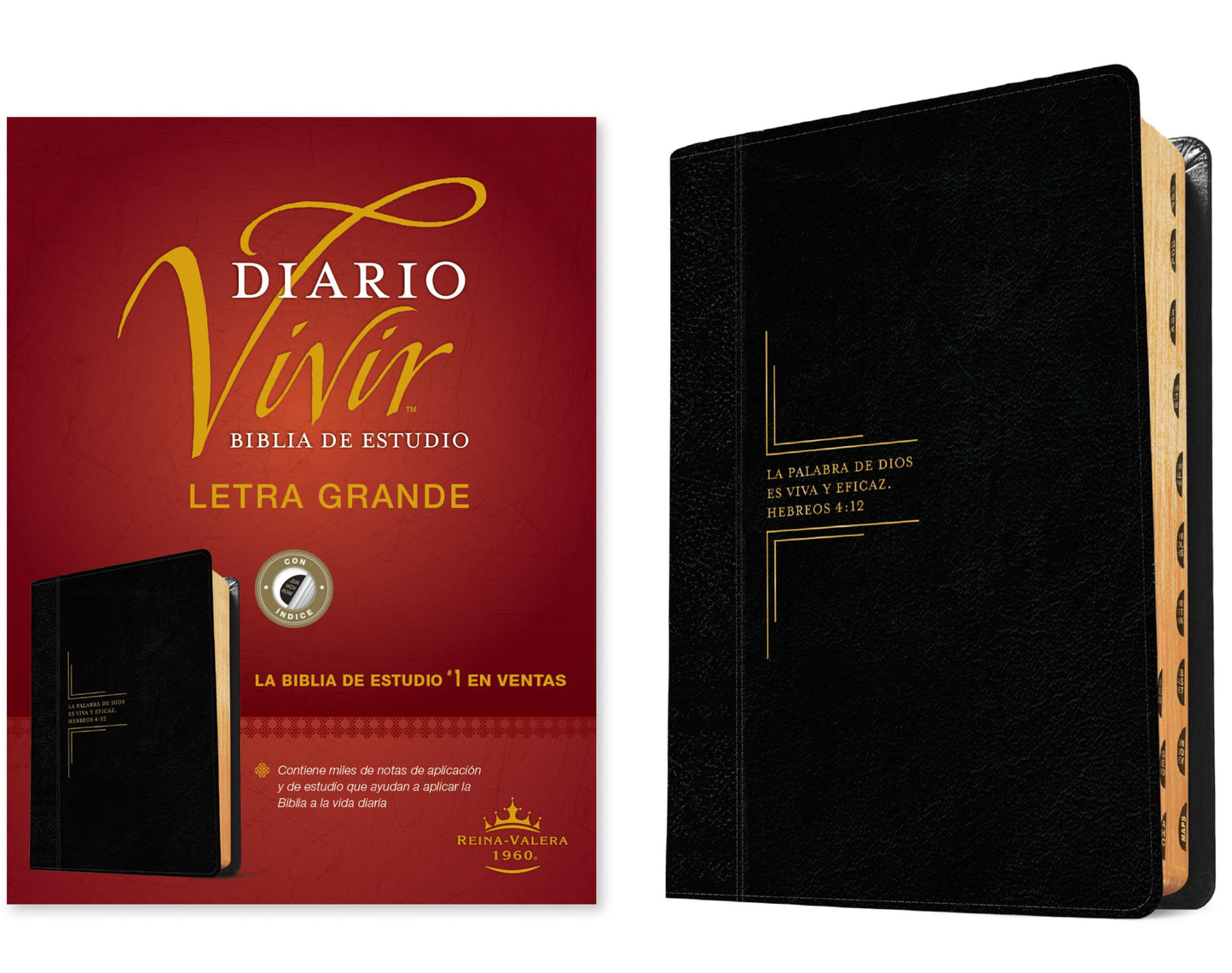 Diario Vivir Biblia de Estudio Letra Grande Reina Valera 1960 - cover