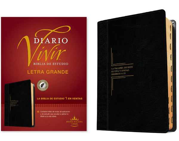 Diario Vivir Biblia de Estudio Letra Grande Reina Valera 1960 - cover