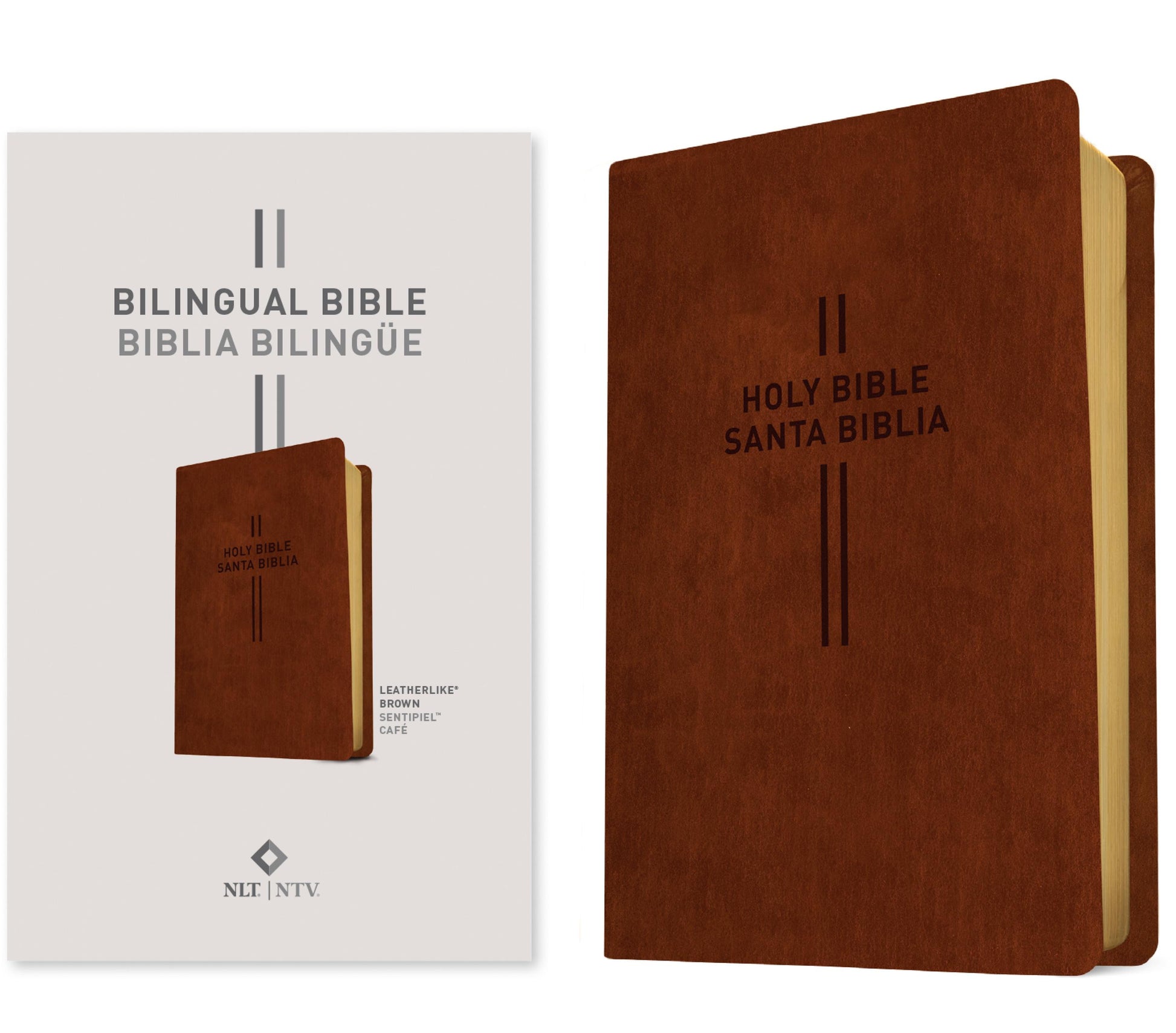 Biblia Bilingue Nueva traduccion viviente - cover