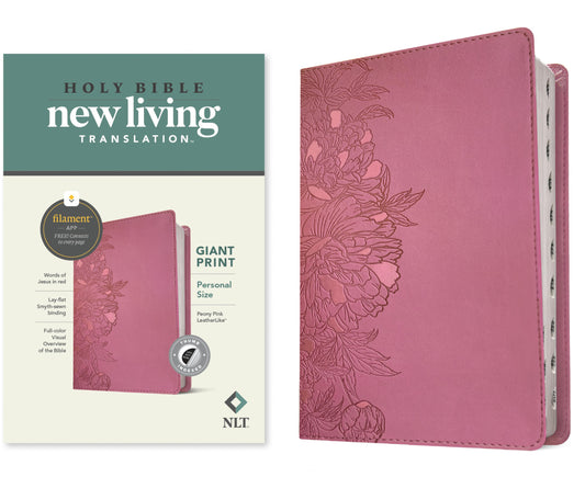 Holy Bible New living translation giant print - cover