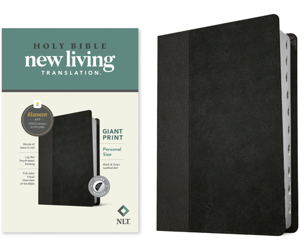 Holy Bible New living translation giant print with index - cover