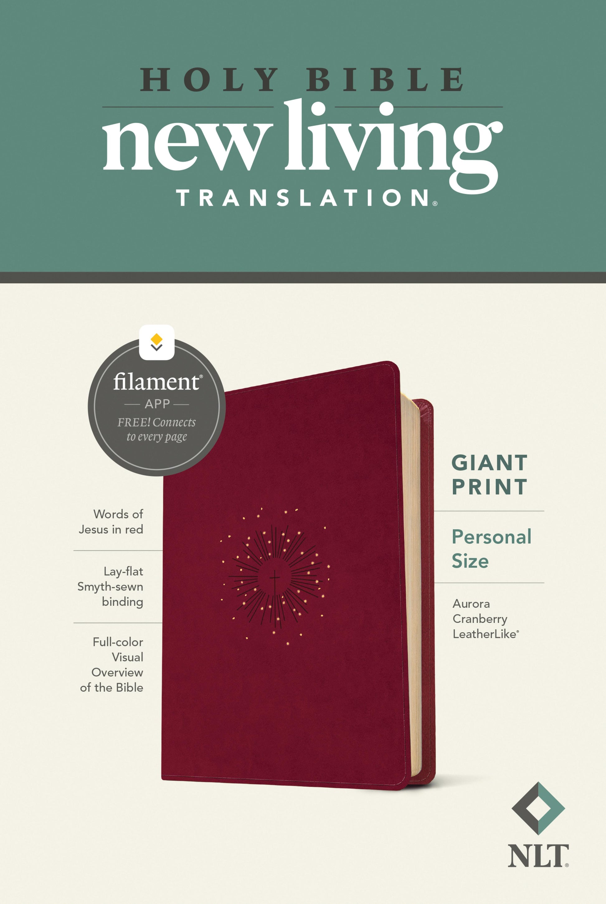 Holy Bible New Living Translation - cover