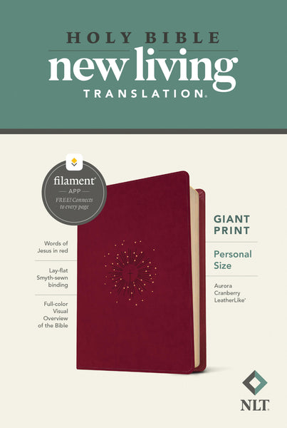 Holy Bible New Living Translation - cover