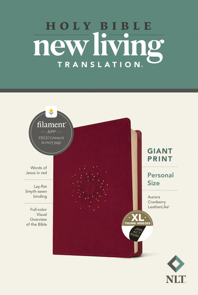 Holy Bible New Living Translation Giant Print - cover