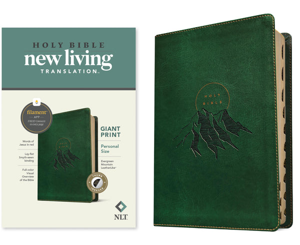 Holy Bible New Living Translation Giant Print - cover