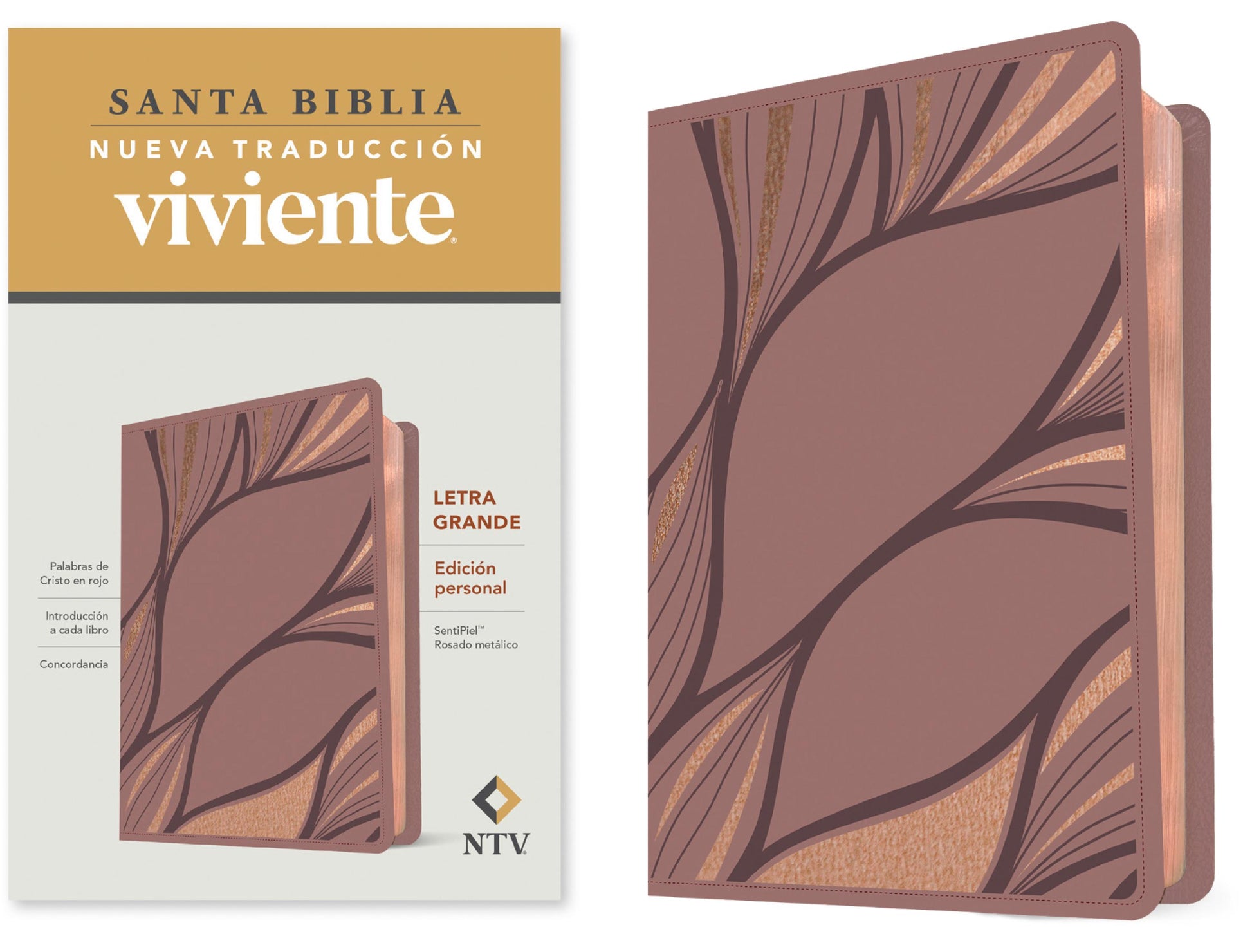 Santa Biblia Nueva Traducción Viviente Letra Grande - cover