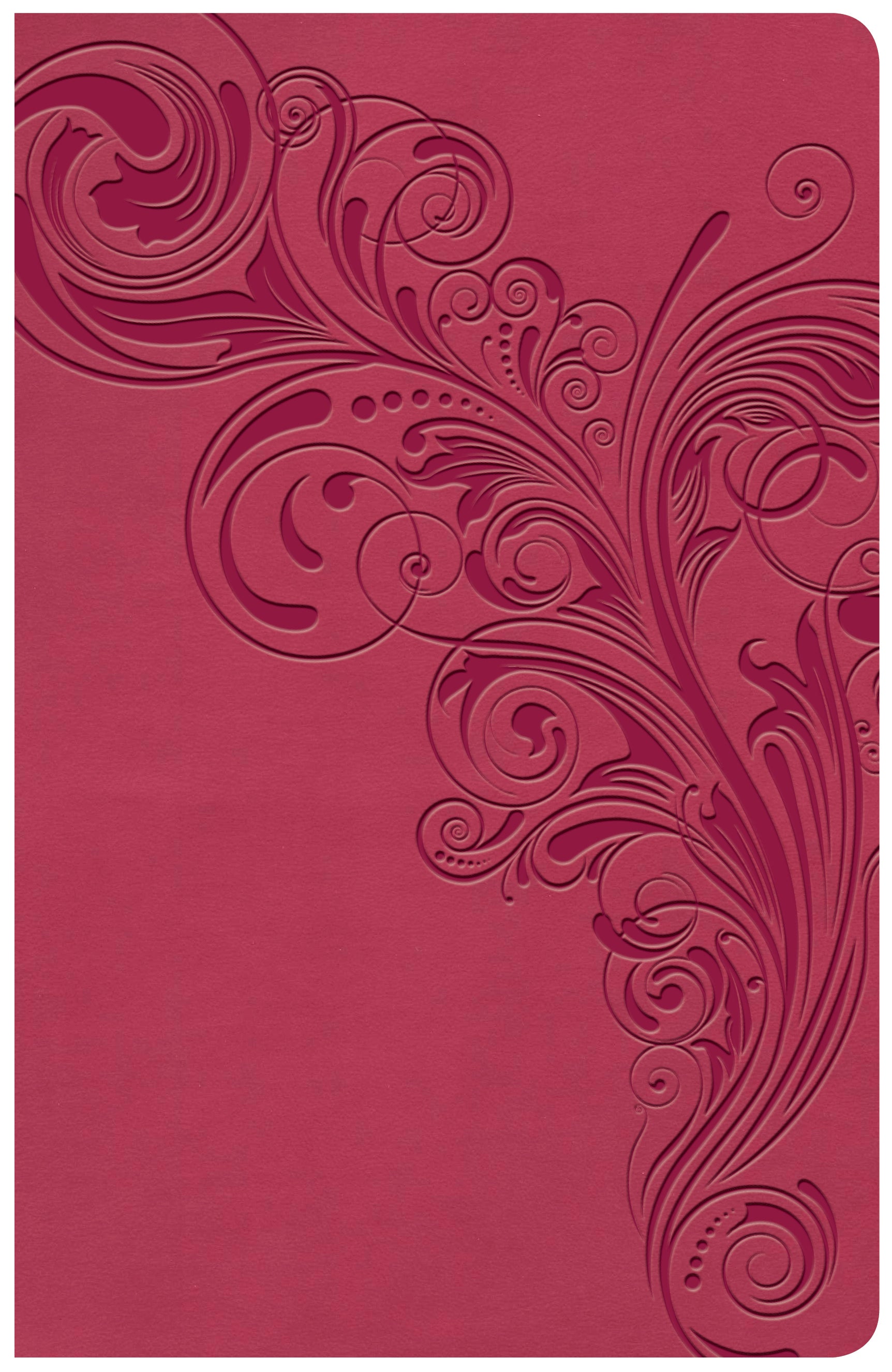 KJV LARGE PRINT PERSONAL SIZE REFERENCE BIBLE PINK - cover