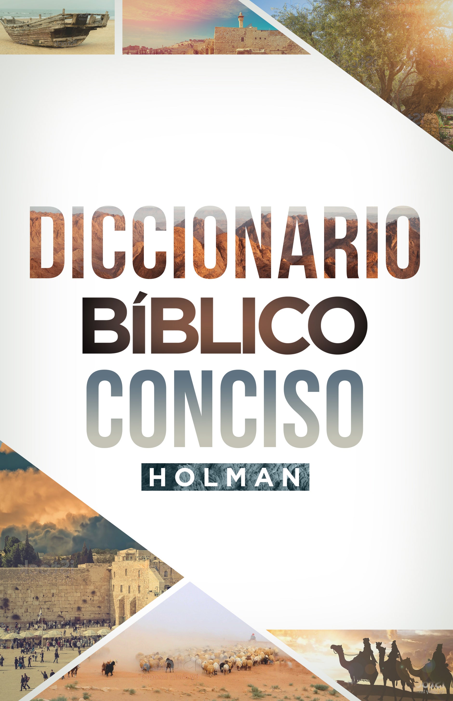 Diccionario Bíblico conciso holman - cover