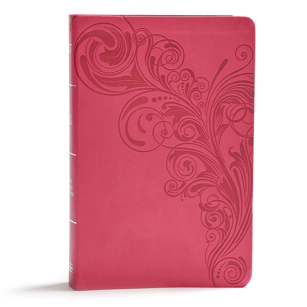 KJV BIBLE GIANT PRINT - cover