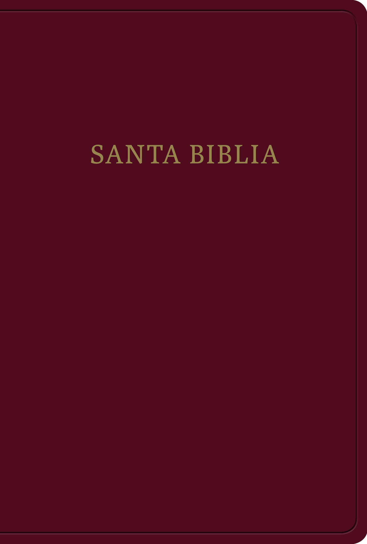 Biblia Reina Valera 1960 letra gigante - cover