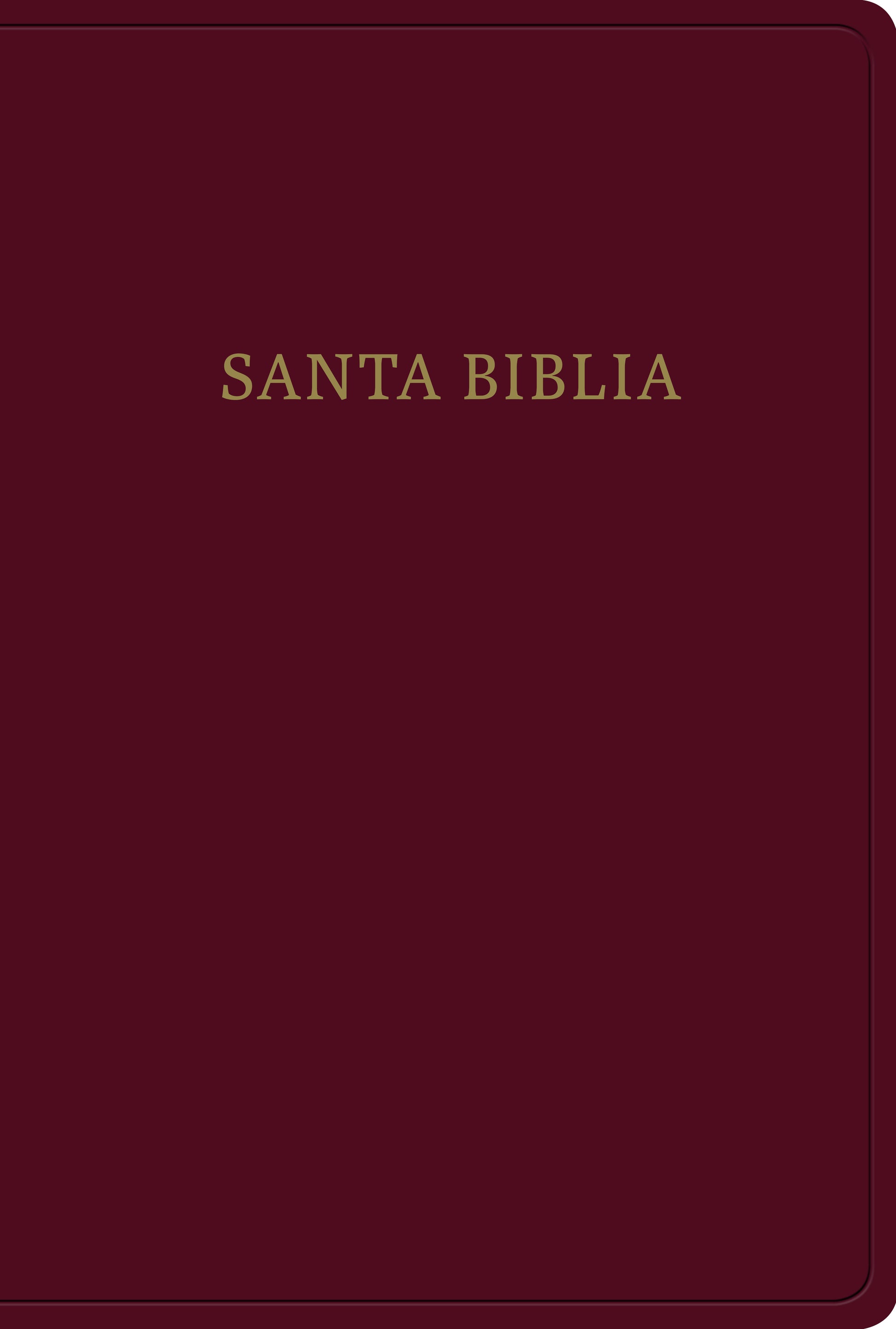 Biblia Reina Valera 1960 letra gigante - cover