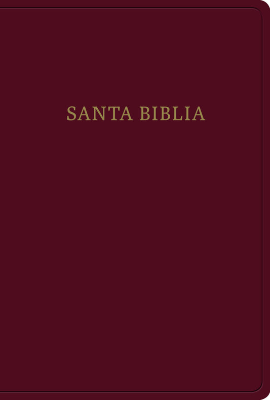 Biblia Reina Valera 1960 letra gigante - cover