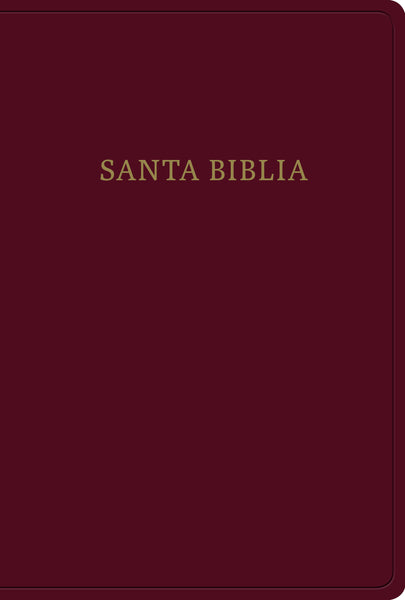 Biblia Reina Valera 1960 letra gigante - cover