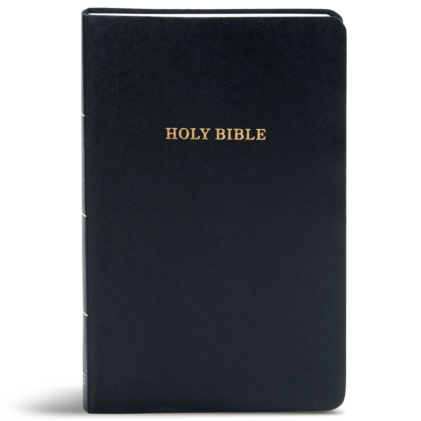 KJV BIBLE - cover