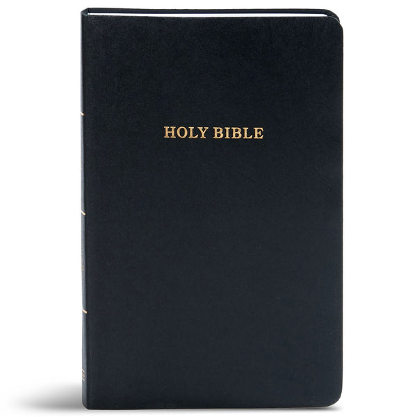 KJV BIBLE - cover