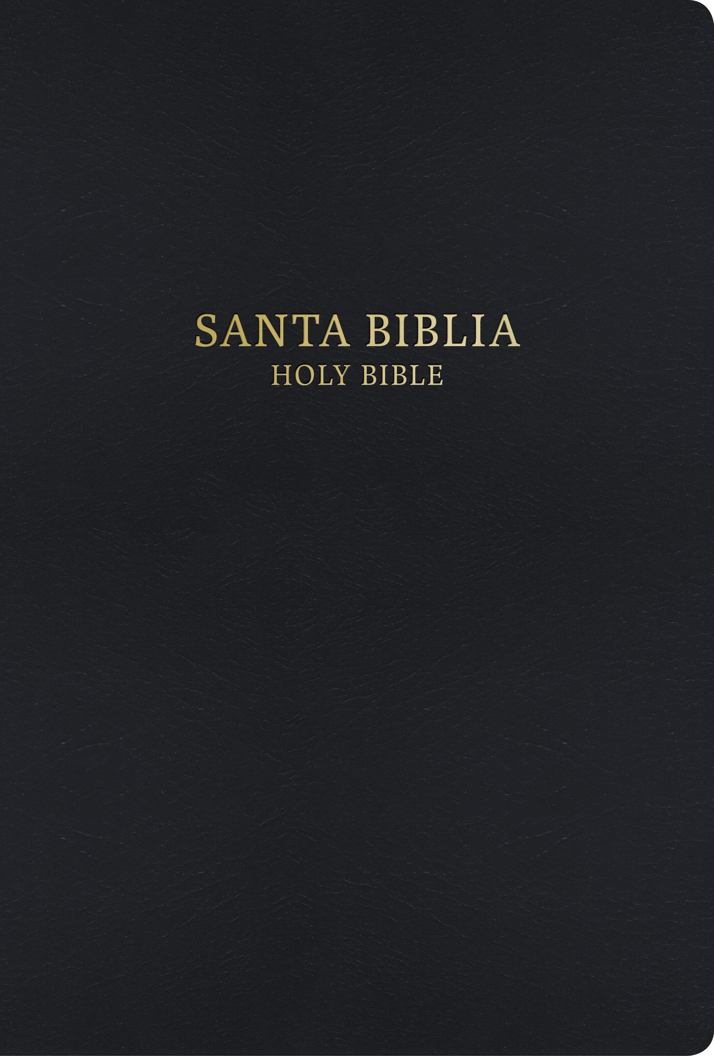 Biblia Bilingue RVR 1960 / KJV - cover