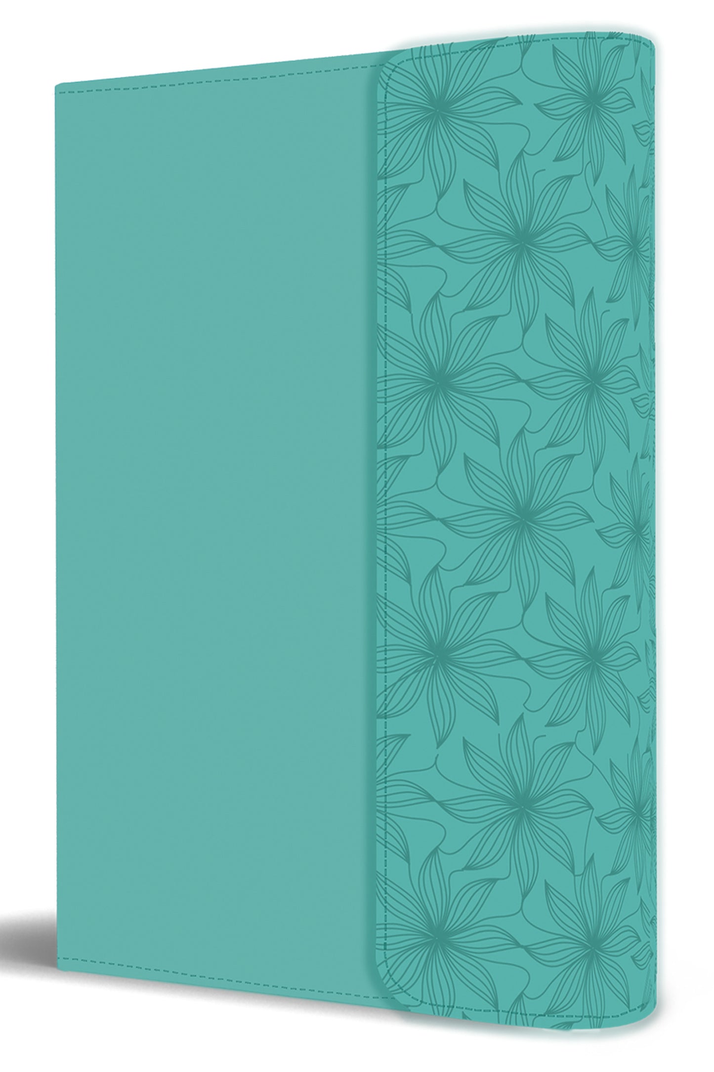 Santa Biblia Reina Valera 1960 con imágenes de Tierra Santa - cover