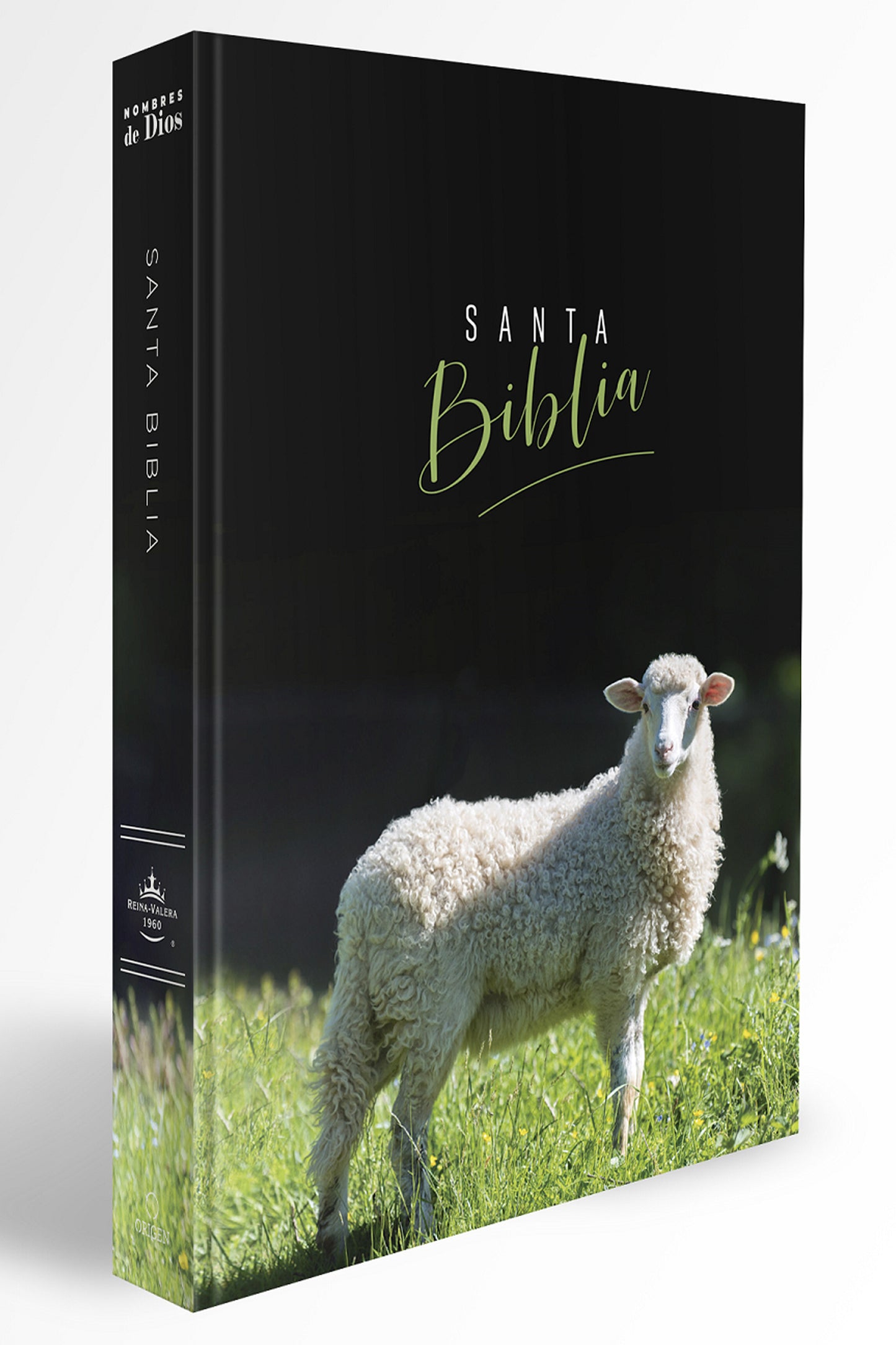 Santa Biblia Reina Valera 1960 - cover