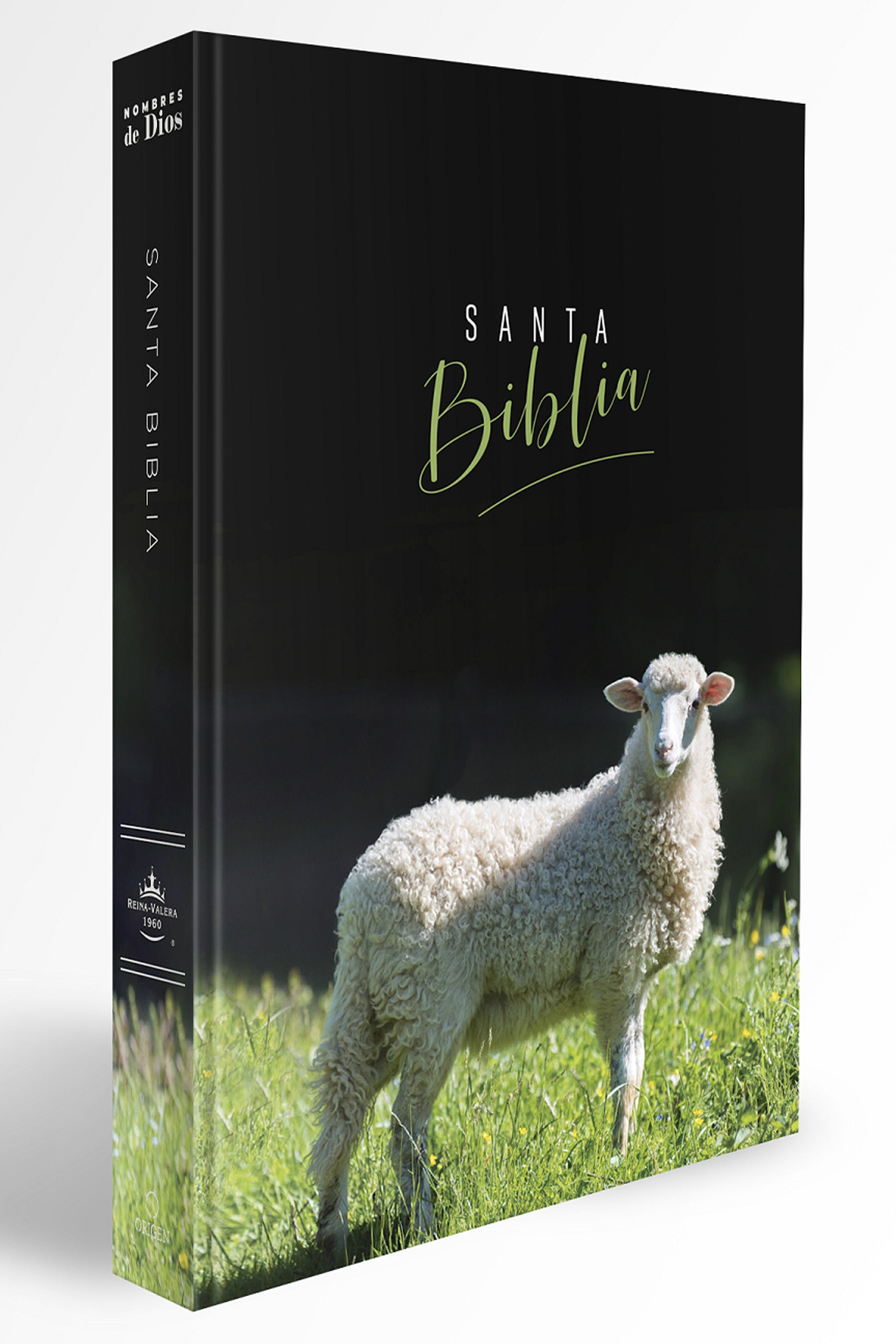 Santa Biblia Reina Valera 1960 - cover