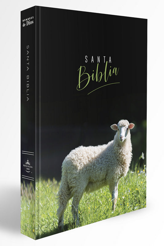 Santa Biblia Reina Valera 1960 - cover