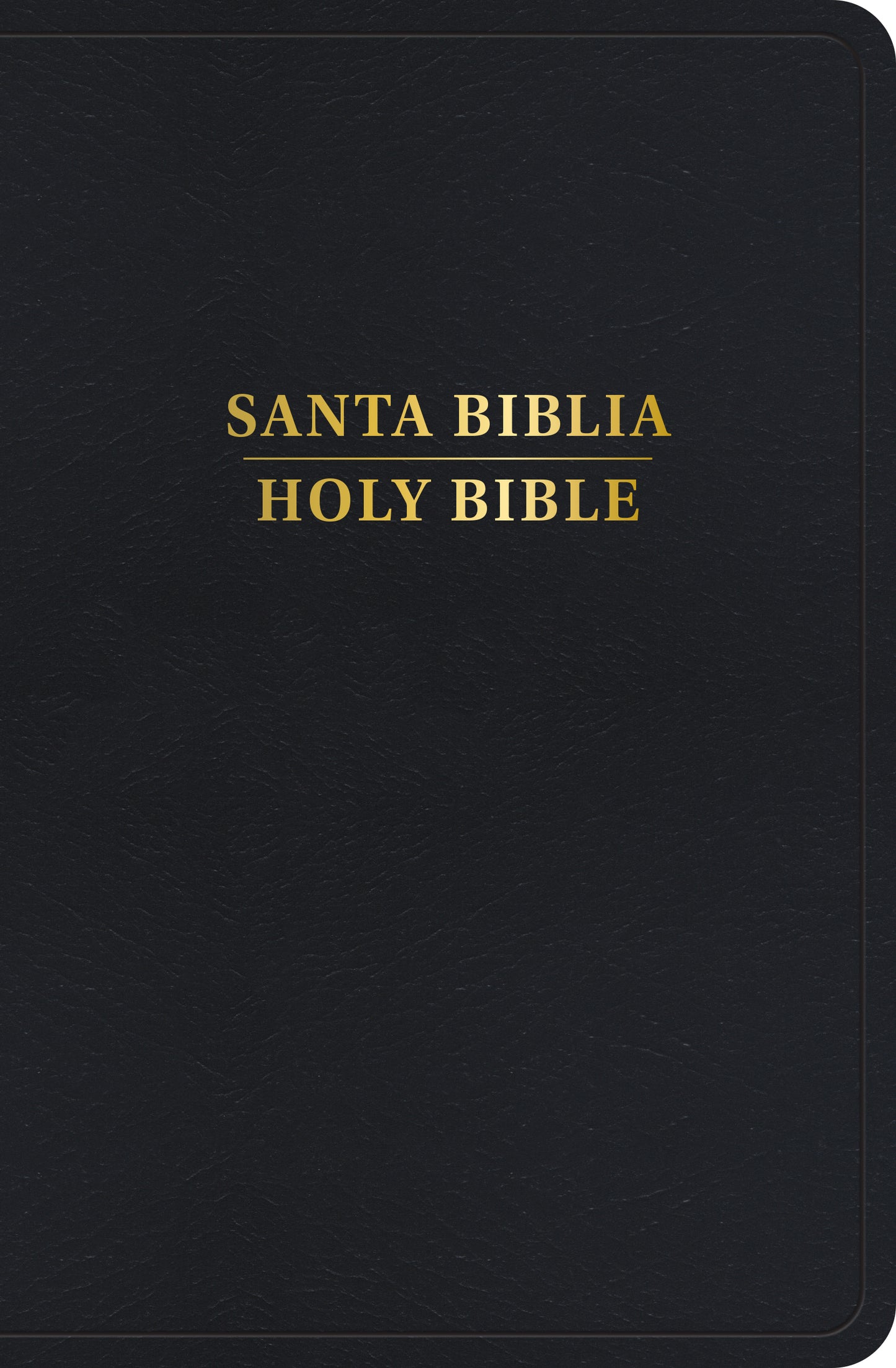 Santa Biblia Bilingüe/ Holy Bible Bilingual. Reina Valera 1960/King James Version - cover