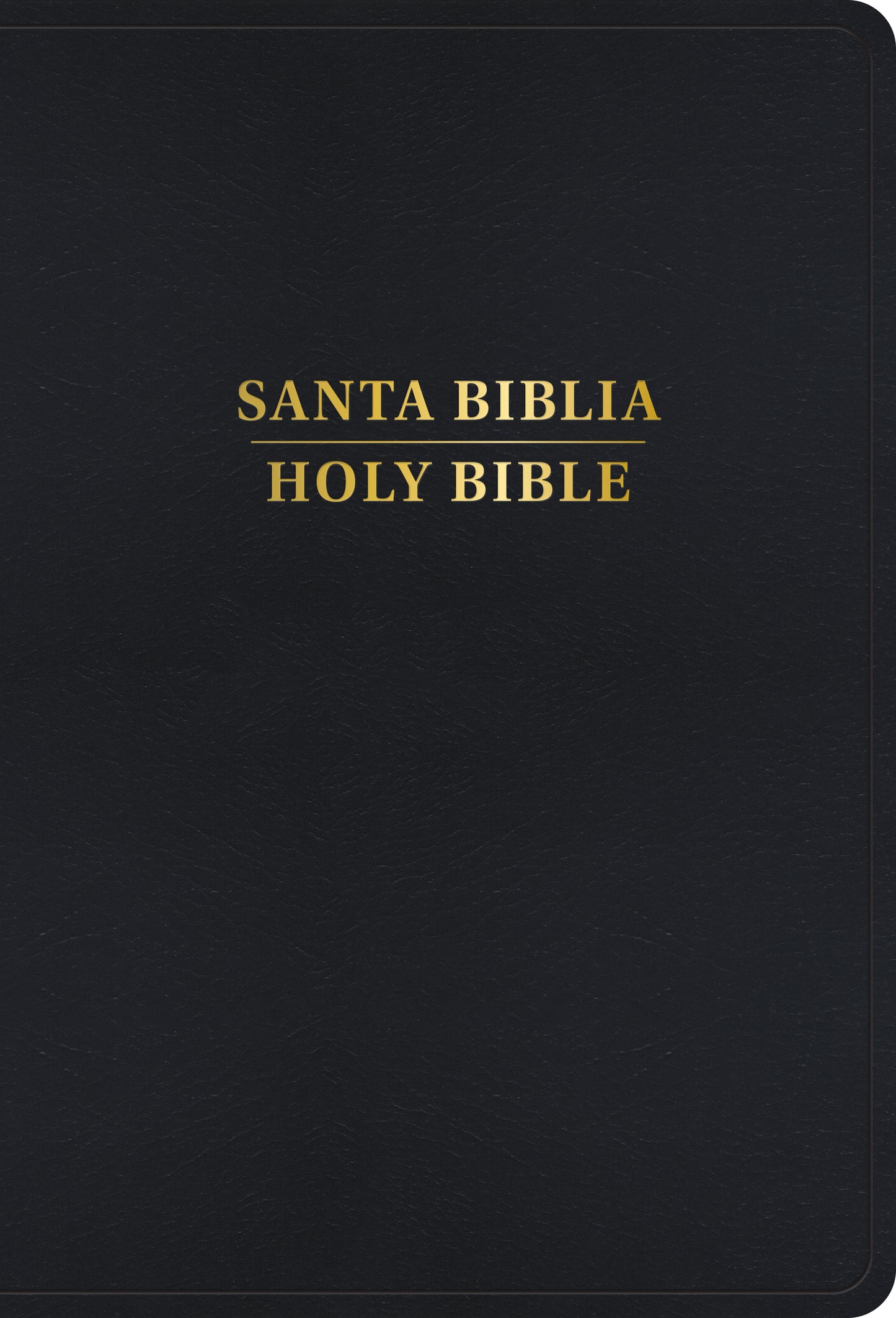 Santa Biblia/Holy Bible Bilingual REINA VALERA 1960/KING JAMES VERSION - cover
