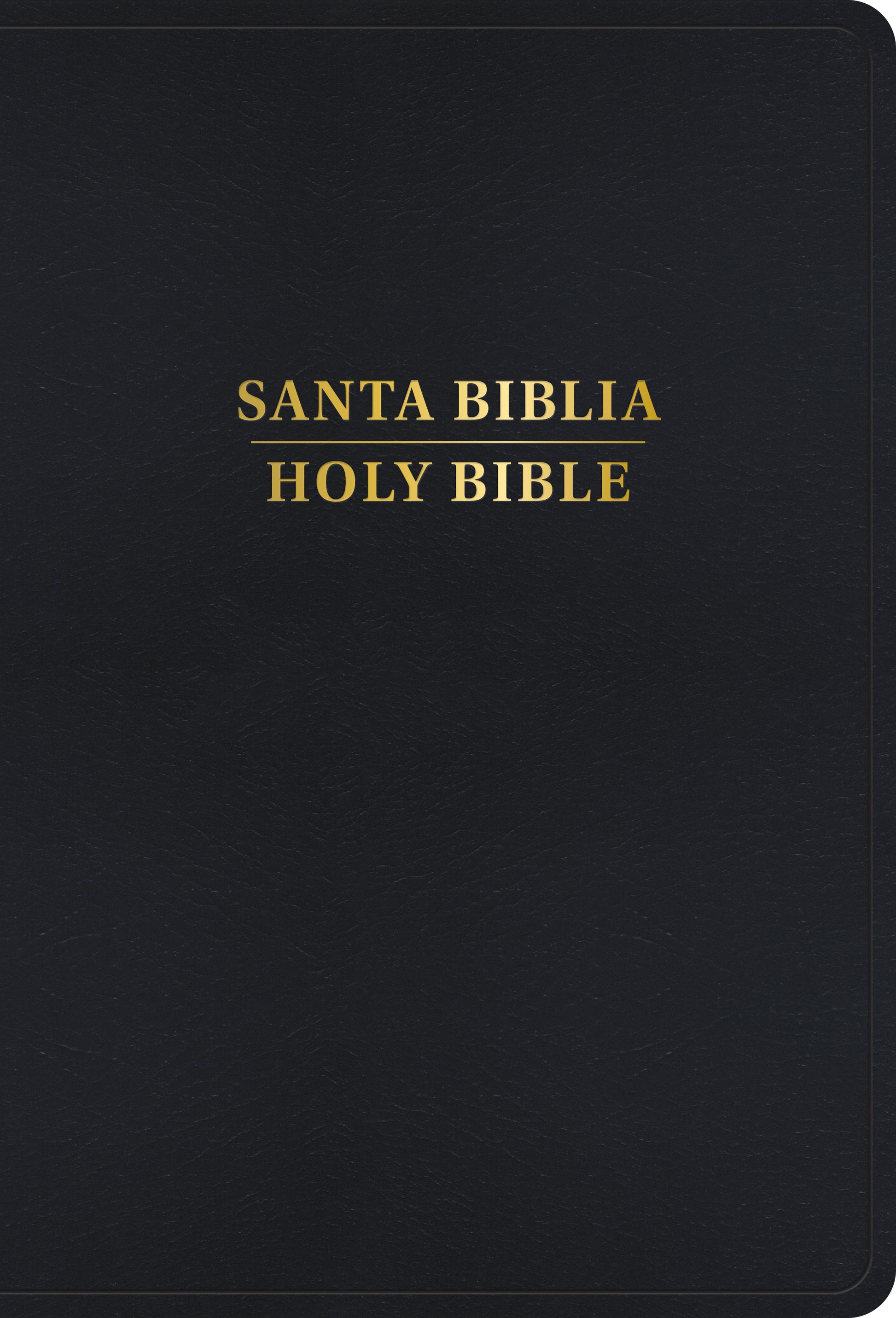 Santa Biblia/Holy Bible Bilingual REINA VALERA 1960/KING JAMES VERSION - cover
