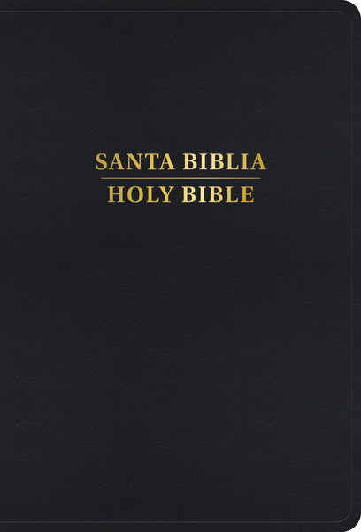 Santa Biblia Bilingüe REINA VALERA 1960 / KING JAMES VERSION Letra Grande (black) - cover