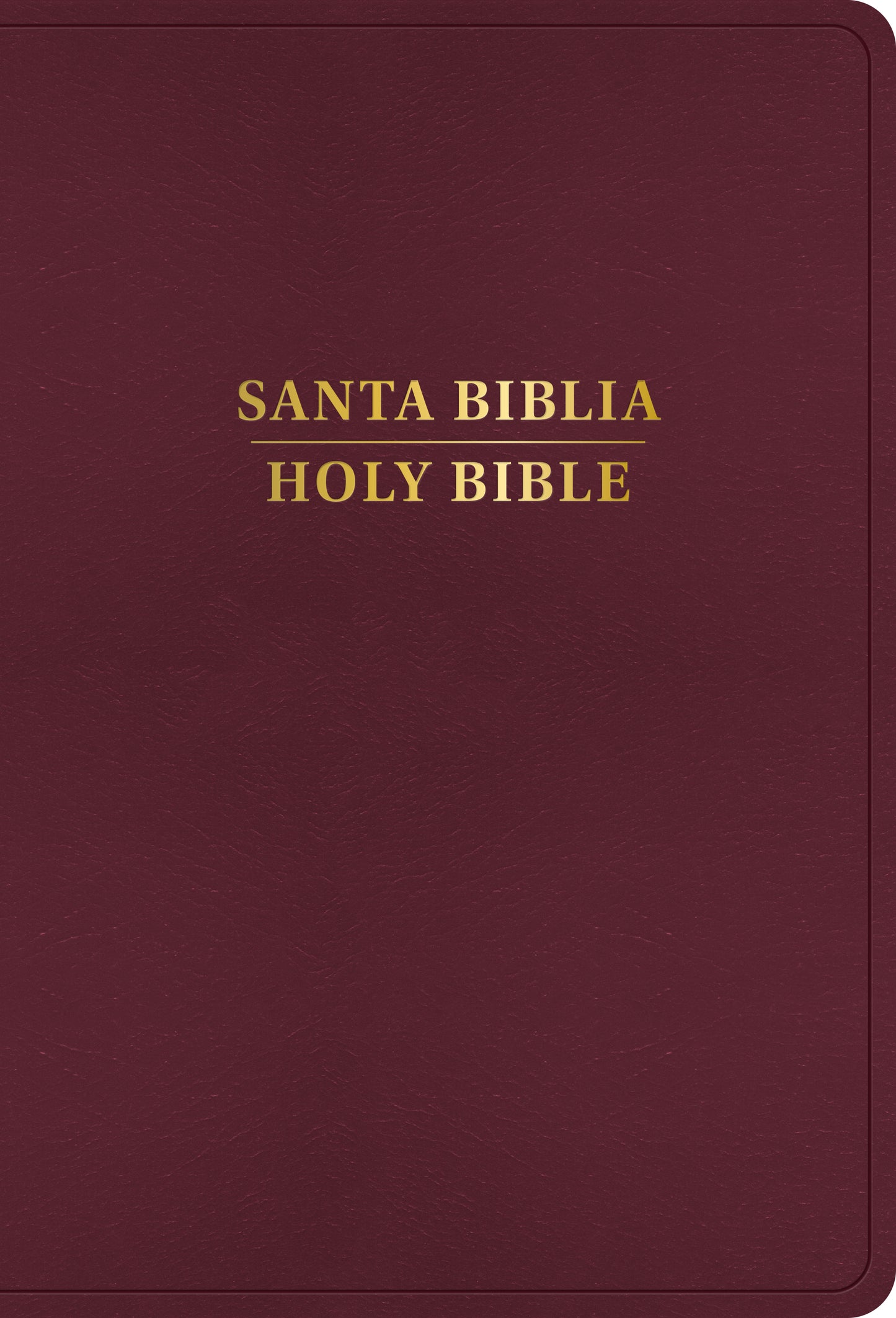 Santa Biblia/ Holy Bible Reina Valera 1960/King James Version - cover