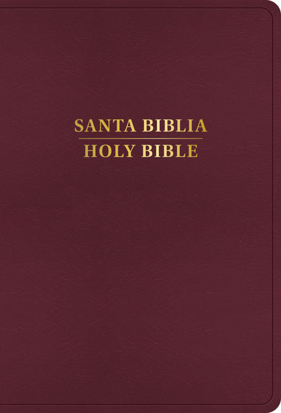 Santa Biblia/ Holy Bible Reina Valera 1960/King James Version - cover