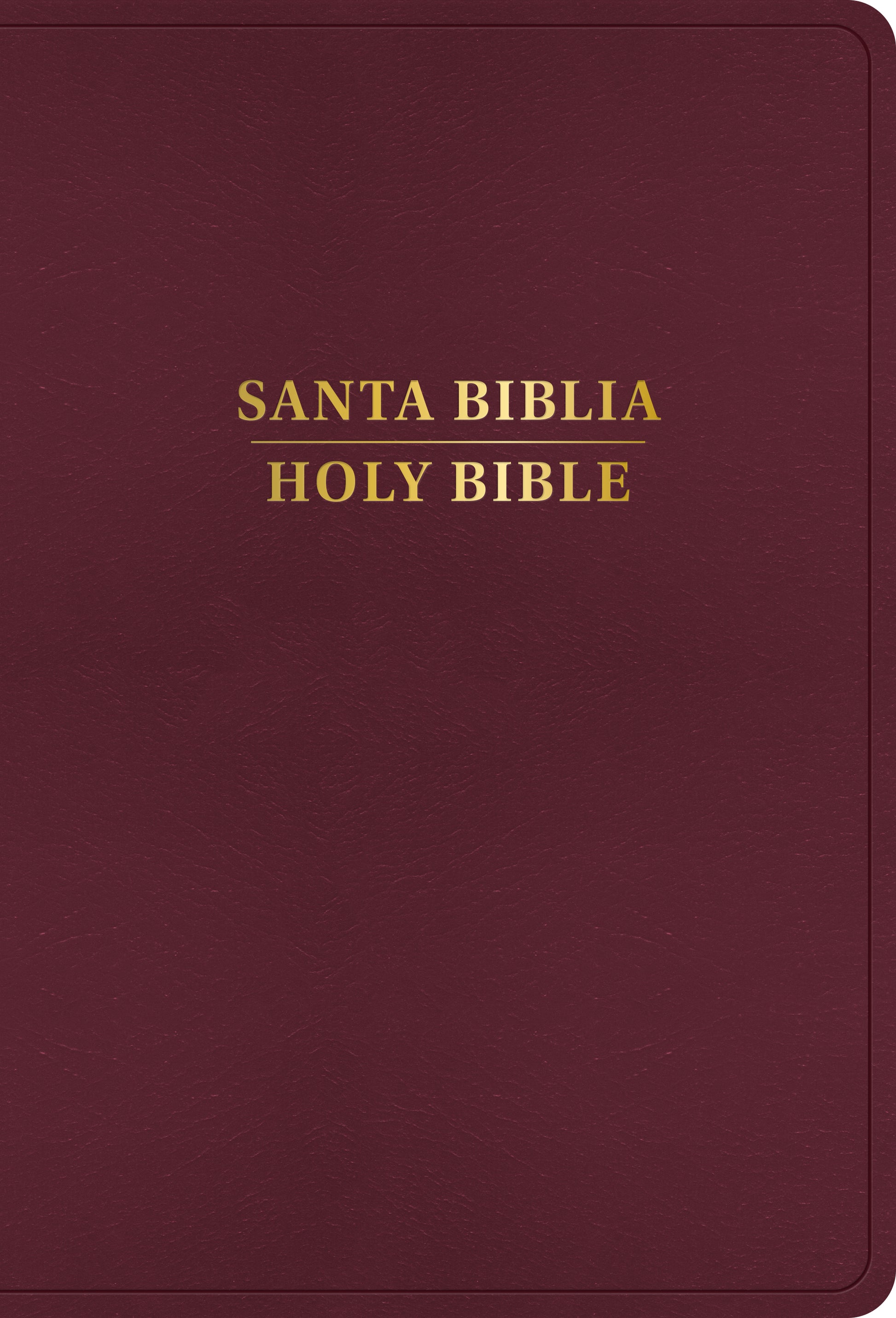 Santa Biblia Bilingüe REINA VALERA 1960 / KING JAMES VERSION Letra Grande (burgundy) - cover