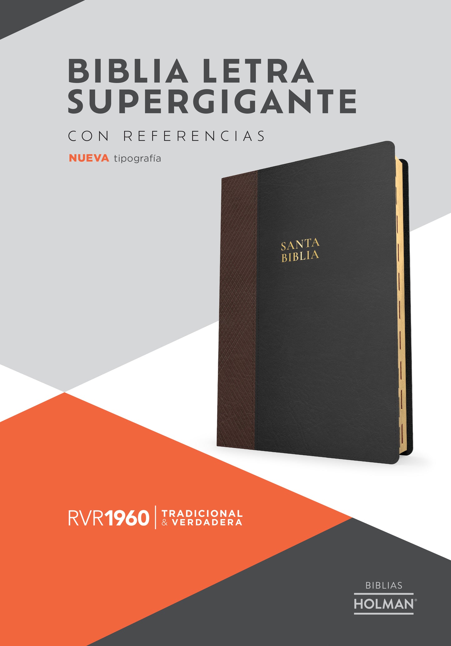 Santa Biblia Reina Valera 1960 Letra SuperGigante - cover