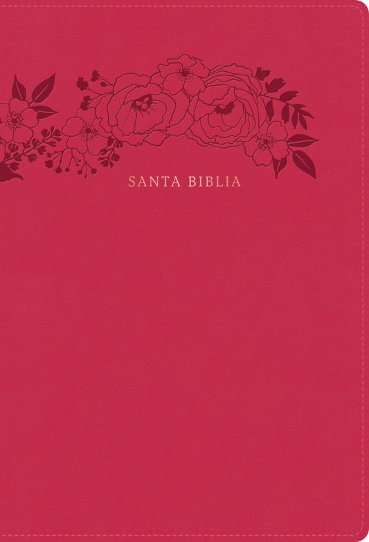 Santa Biblia Letra Super Gigante Reina Valera 1960 - cover