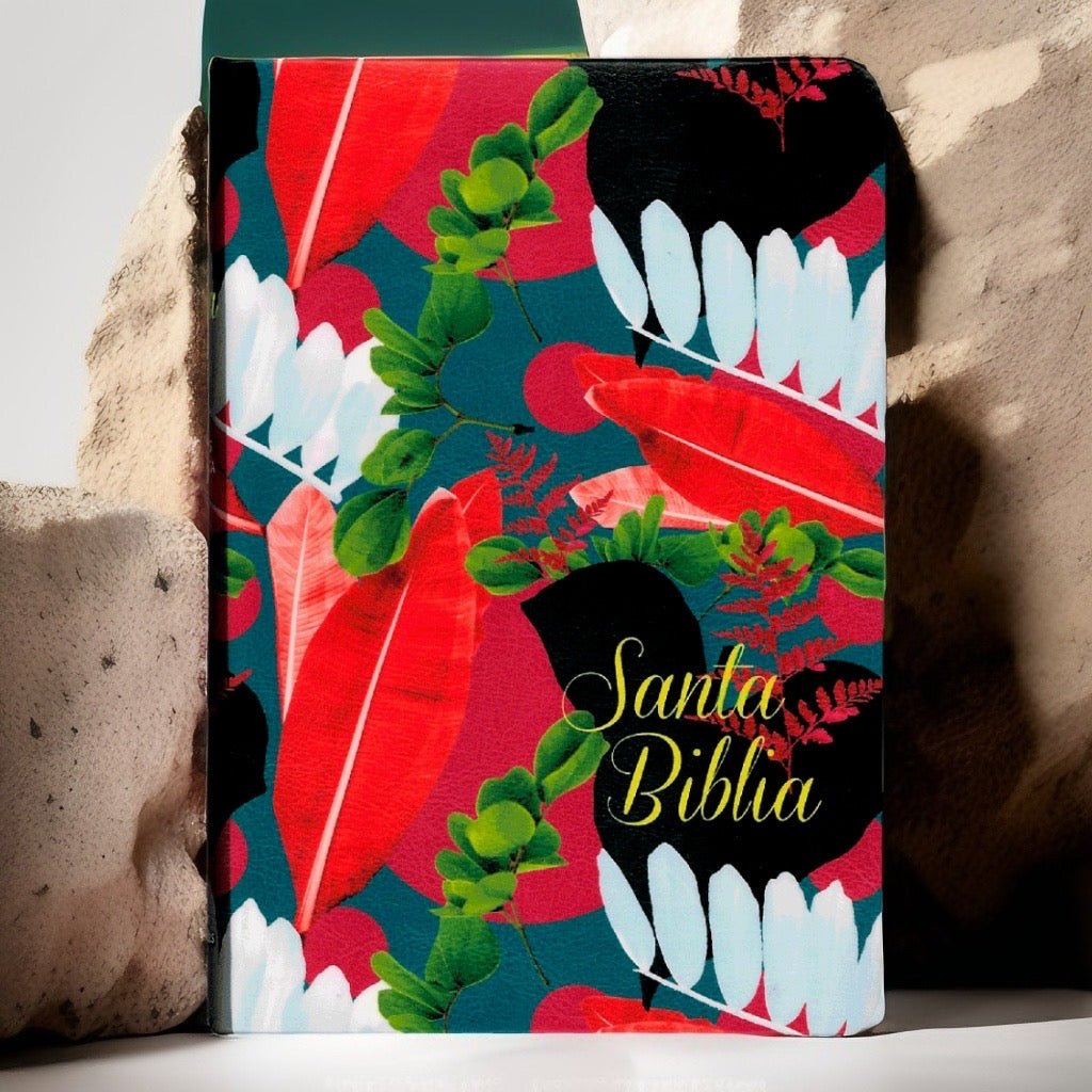 SANTA BIBLIA REINA VALERA 1960 — disponible en La Librería del Evangelio