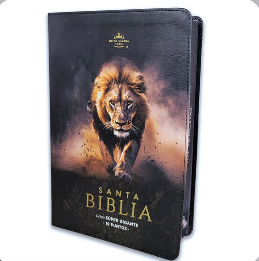 Santa Biblia Reina Valera 1960 Letra SuperGigante — disponible en La Librería del Evangelio