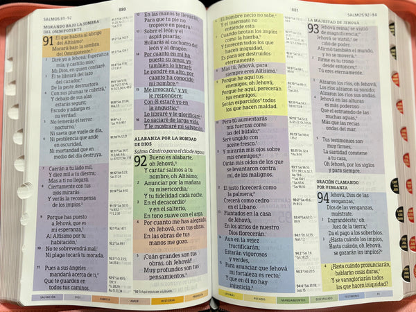 Biblia de Estudio Arcoíris Reina Valera 1960 Letra Gigante Edición Especial