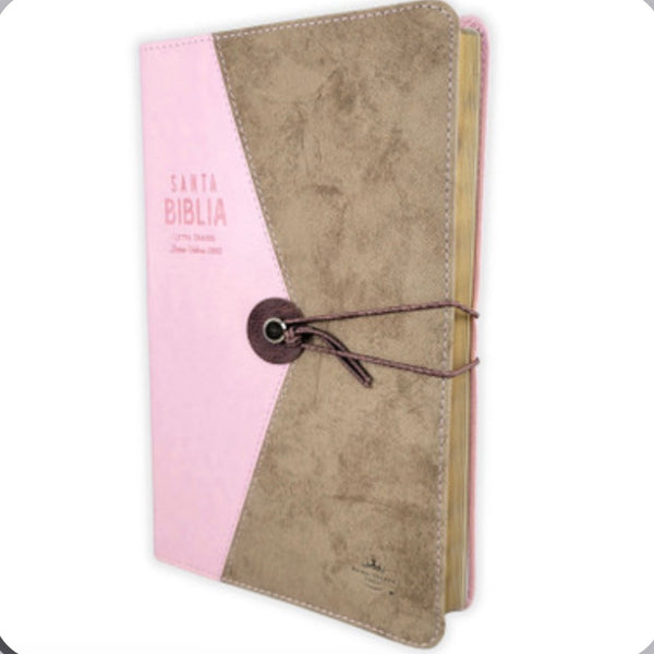 Biblia Vintage Reina Valera 1960
