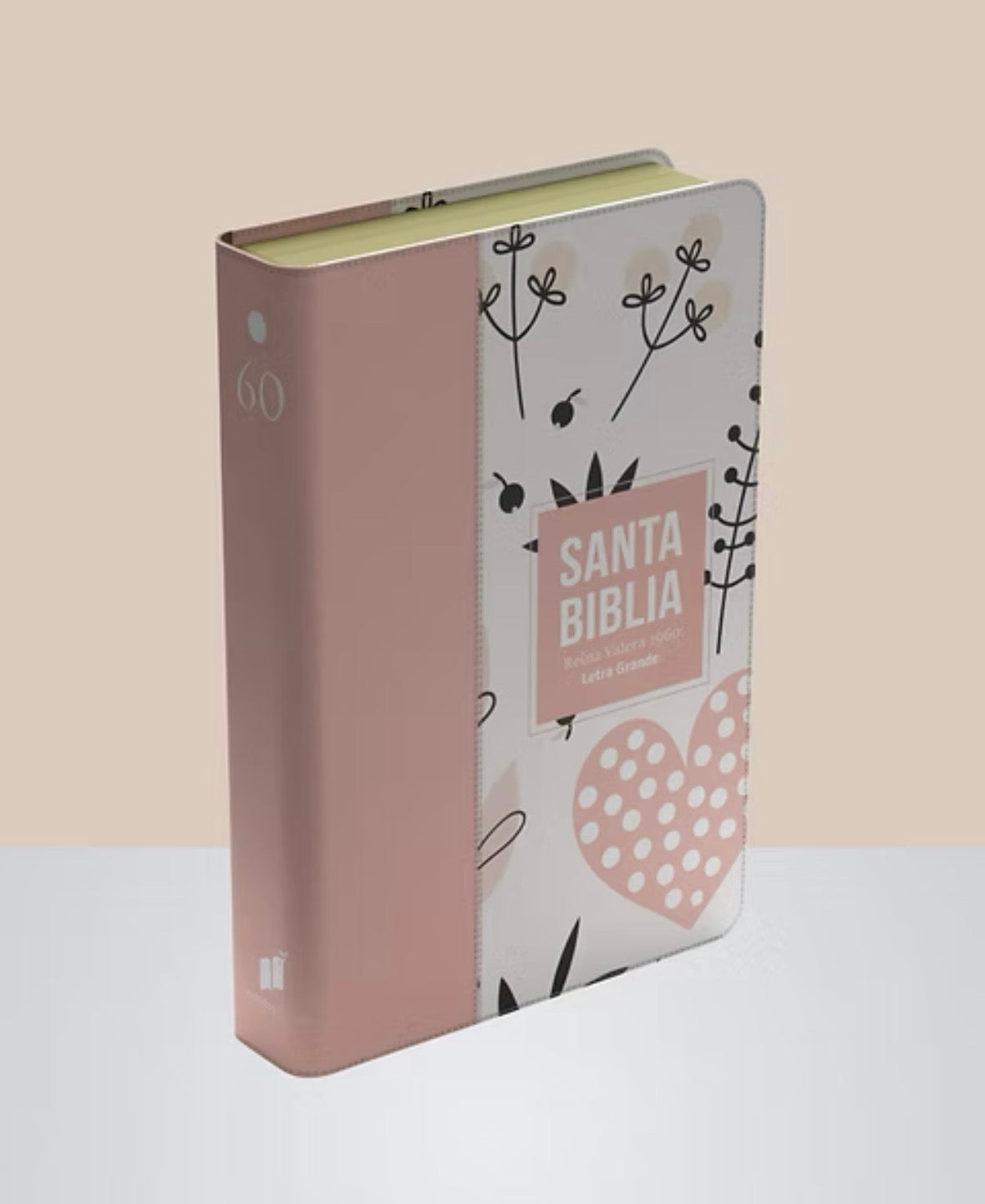 Santa Biblia Reina Valera 1960 letra grande