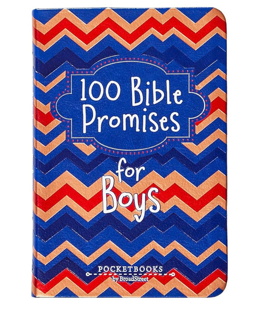 100 Bible Promises for Boys